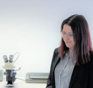 Katarina Willenfort - QA Validation Support